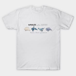 Whales of the Arctic T-Shirt